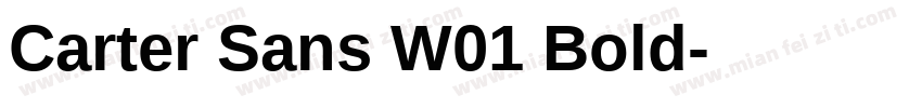 Carter Sans W01 Bold字体转换
